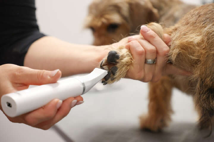 KERBL Akkuschermaschine Multitrimmer 4in1